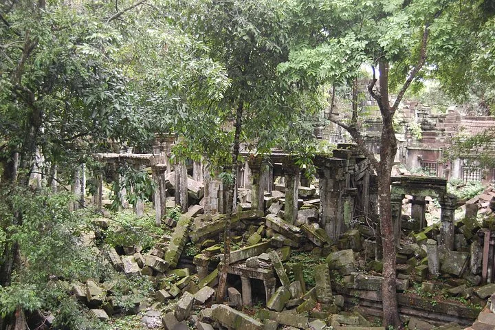 Alte Stein-Tempelruinen, von Bäumen und Vegetation überwuchert